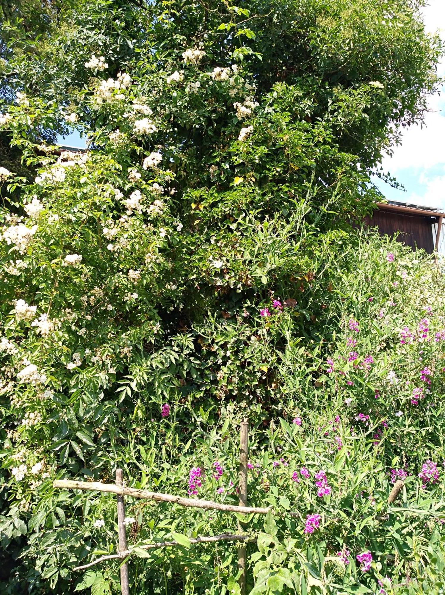 Landhaus Fohlenhof Mehrstetten 外观 照片